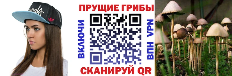 Галлюциногенные грибы GOLDEN TEACHER  Анива 